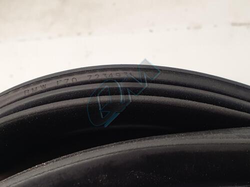 BMW Passenger Front and Rear Left Apature Seal Fits X5 E70 7234931